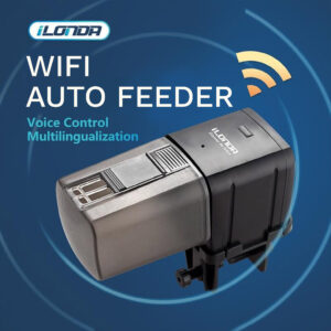 Wifi Auto Feeder