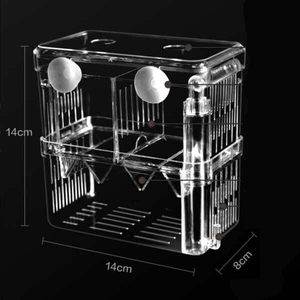 Breeding Box - Image 5