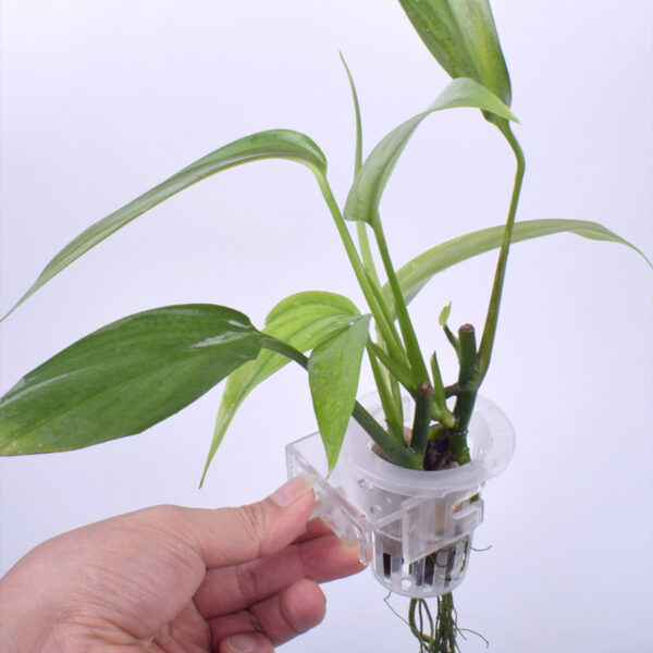 Clip-On Planter - Image 2