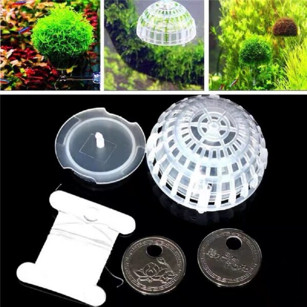 Moss Ball Maker - Image 2