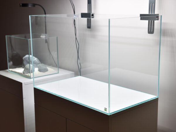 Ultra Clear Aquarium - Kiwi Aqua