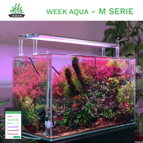 Week-Aqua-M-Serie