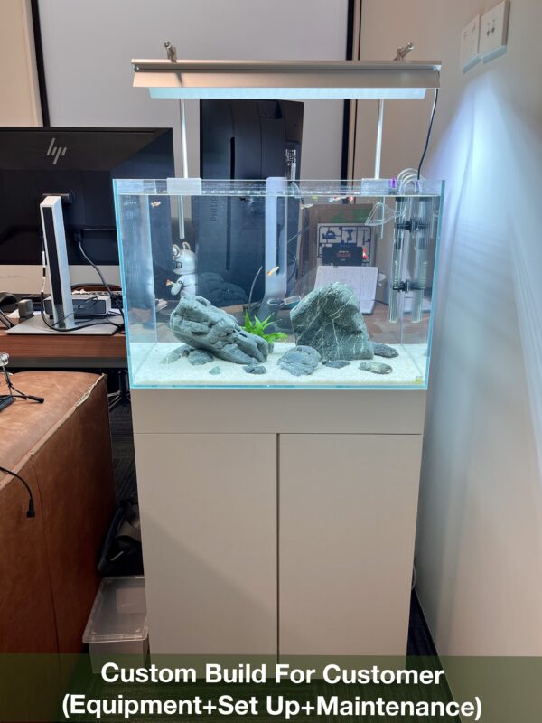 Ultra Clear Rimless Aquarium With Cabinet - Image 5