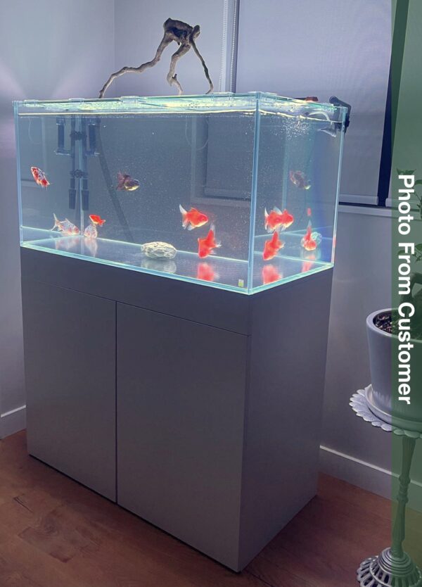 Ultra Clear Rimless Aquarium With Cabinet - Image 6