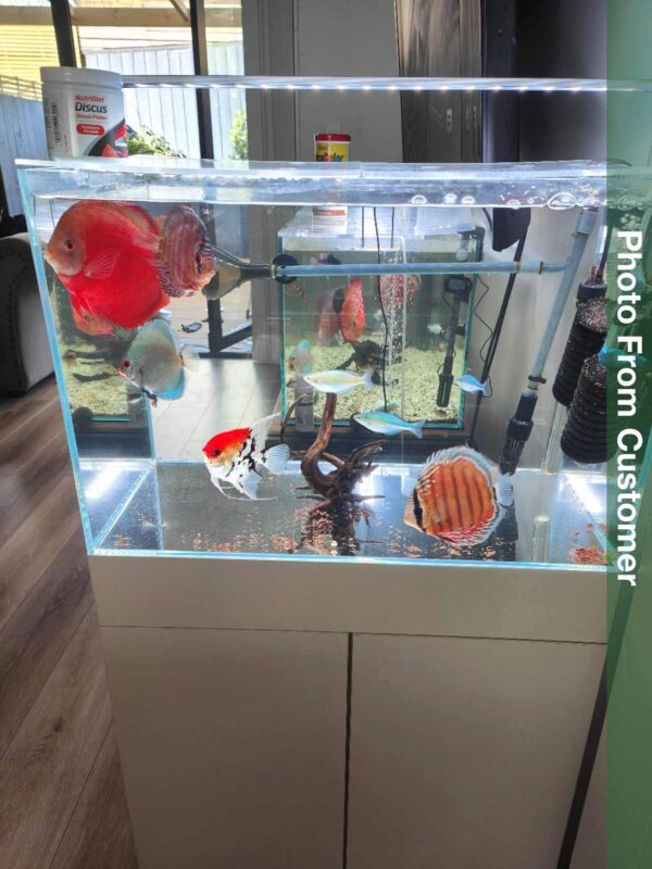 Ultra Clear Rimless Aquarium With Cabinet - Image 7